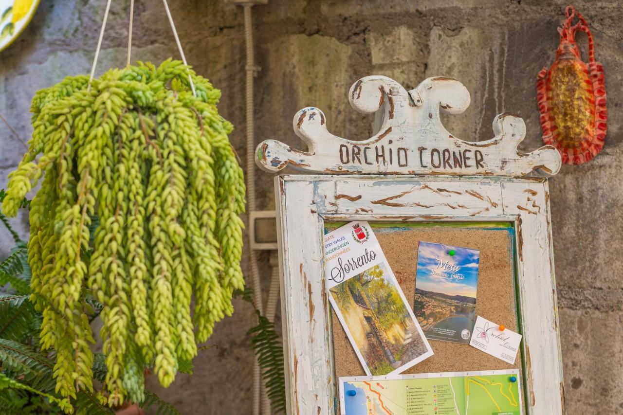 Orchid Corner Guesthouse Meta Ngoại thất bức ảnh