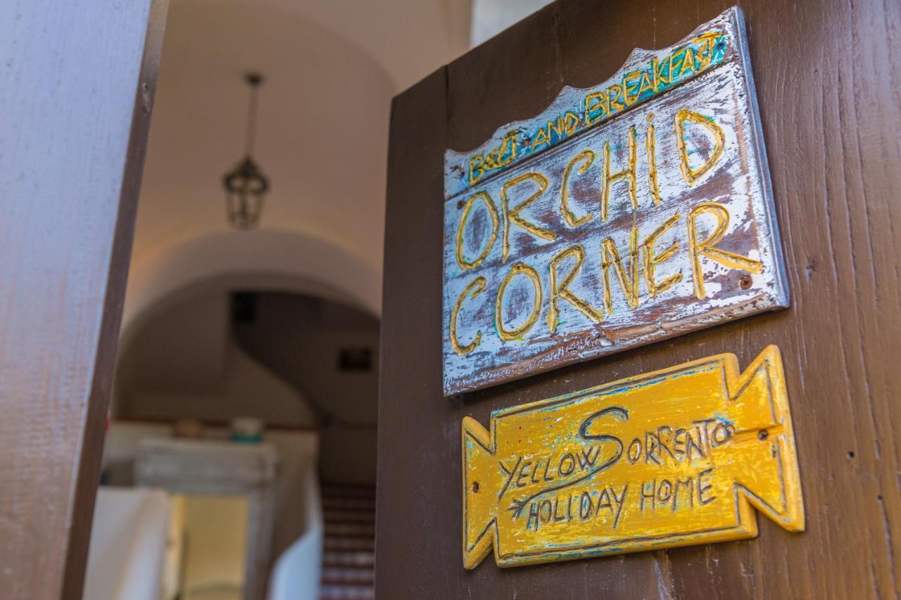 Orchid Corner Guesthouse Meta Ngoại thất bức ảnh