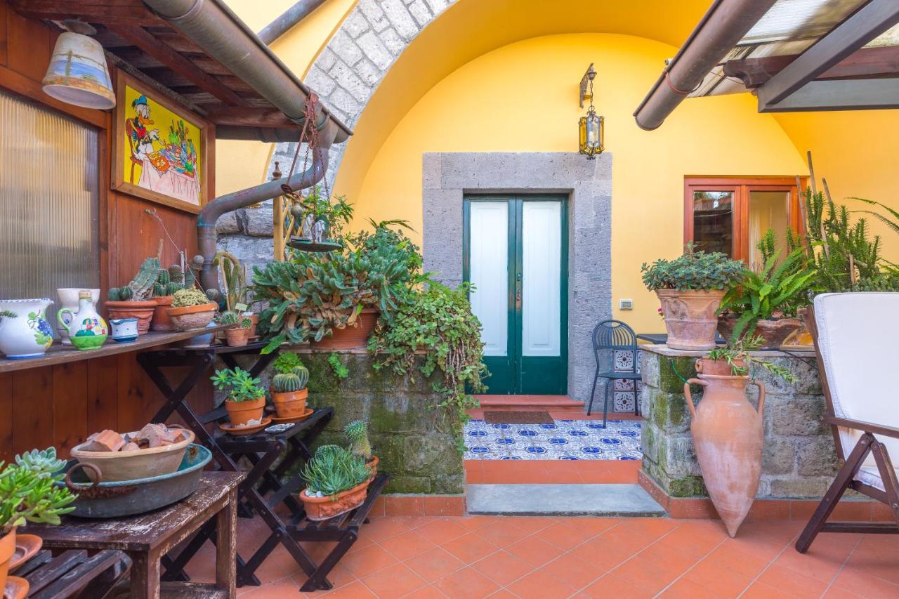 Orchid Corner Guesthouse Meta Ngoại thất bức ảnh