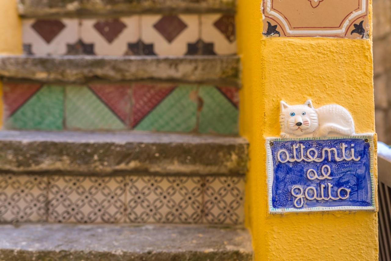 Orchid Corner Guesthouse Meta Ngoại thất bức ảnh