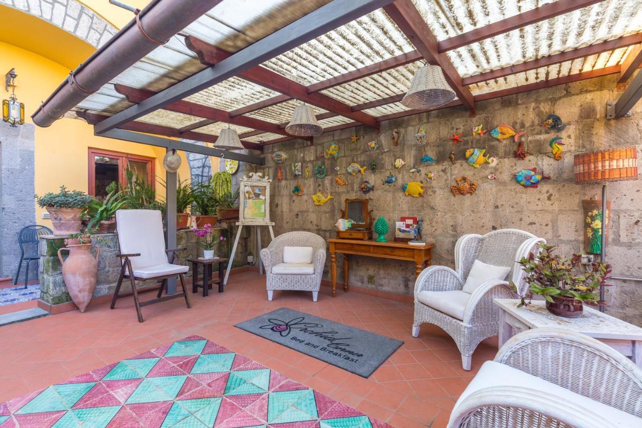 Orchid Corner Guesthouse Meta Ngoại thất bức ảnh