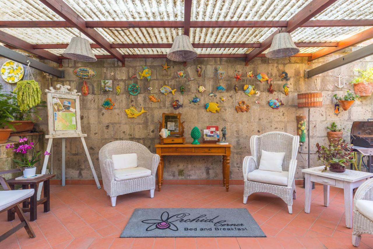 Orchid Corner Guesthouse Meta Ngoại thất bức ảnh