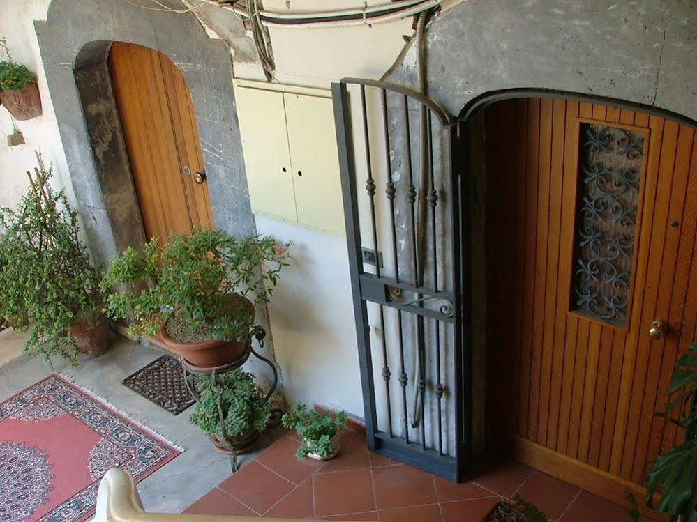 Orchid Corner Guesthouse Meta Ngoại thất bức ảnh